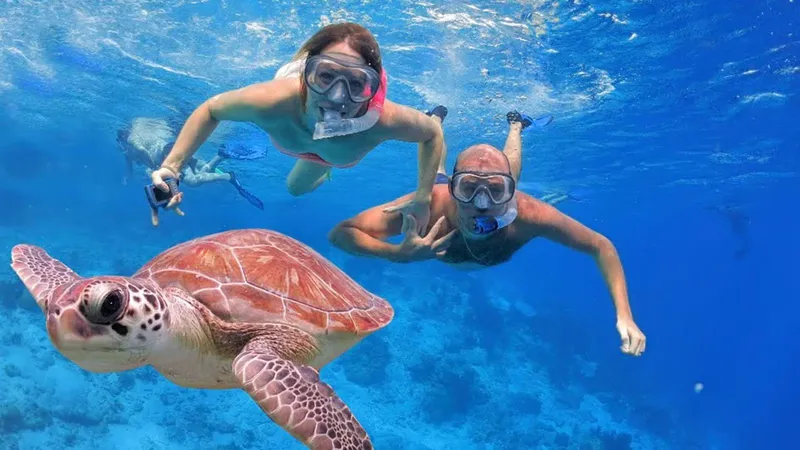 Small group of snorkelers exploring the coral reef at Escambron Marine Park on a San Juan Puerto Rico snorkeling tour