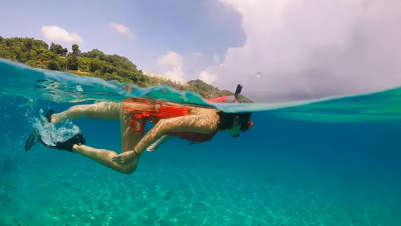 Tour group snorkeling in turquoise Caribbean waters after hiking El Yunque Rainforest on a full-day San Juan Puerto Rico adventure tour